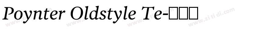 Poynter Oldstyle Te字体转换